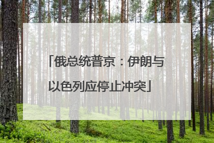 俄总统普京：伊朗与以色列应停止冲突